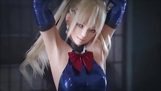 The Way Perfect Hentai Was (3D HMV)