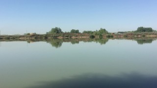 Pulled out a hot powerful cock in public