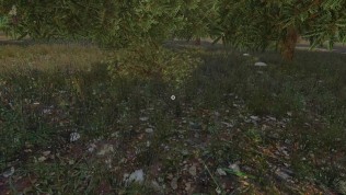 Sinfully Fun Games #29 Vikings Daughter