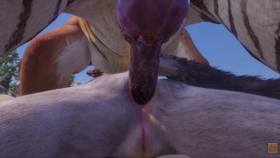 Wild Life / Furry Wolf Girl with Furry Tiger