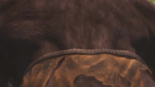 {Wild Life} Shey x Grok